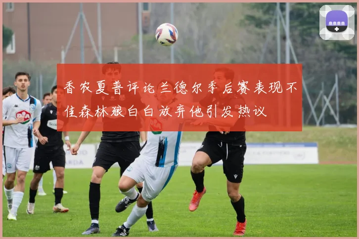 香农夏普评论兰德尔季后赛表现不佳森林狼白白放弃他引发热议