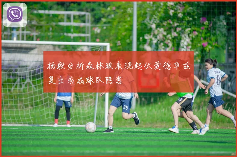 杨毅分析森林狼表现起伏爱德华兹复出或成球队隐患