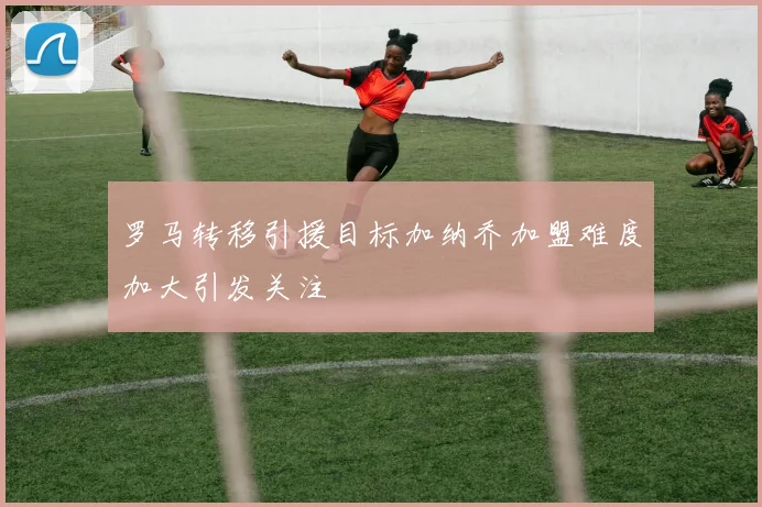 罗马转移引援目标加纳乔加盟难度加大引发关注